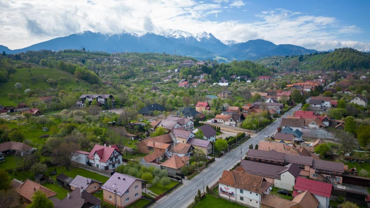 Amedeia Hotel Törcsvár Kültér fotó