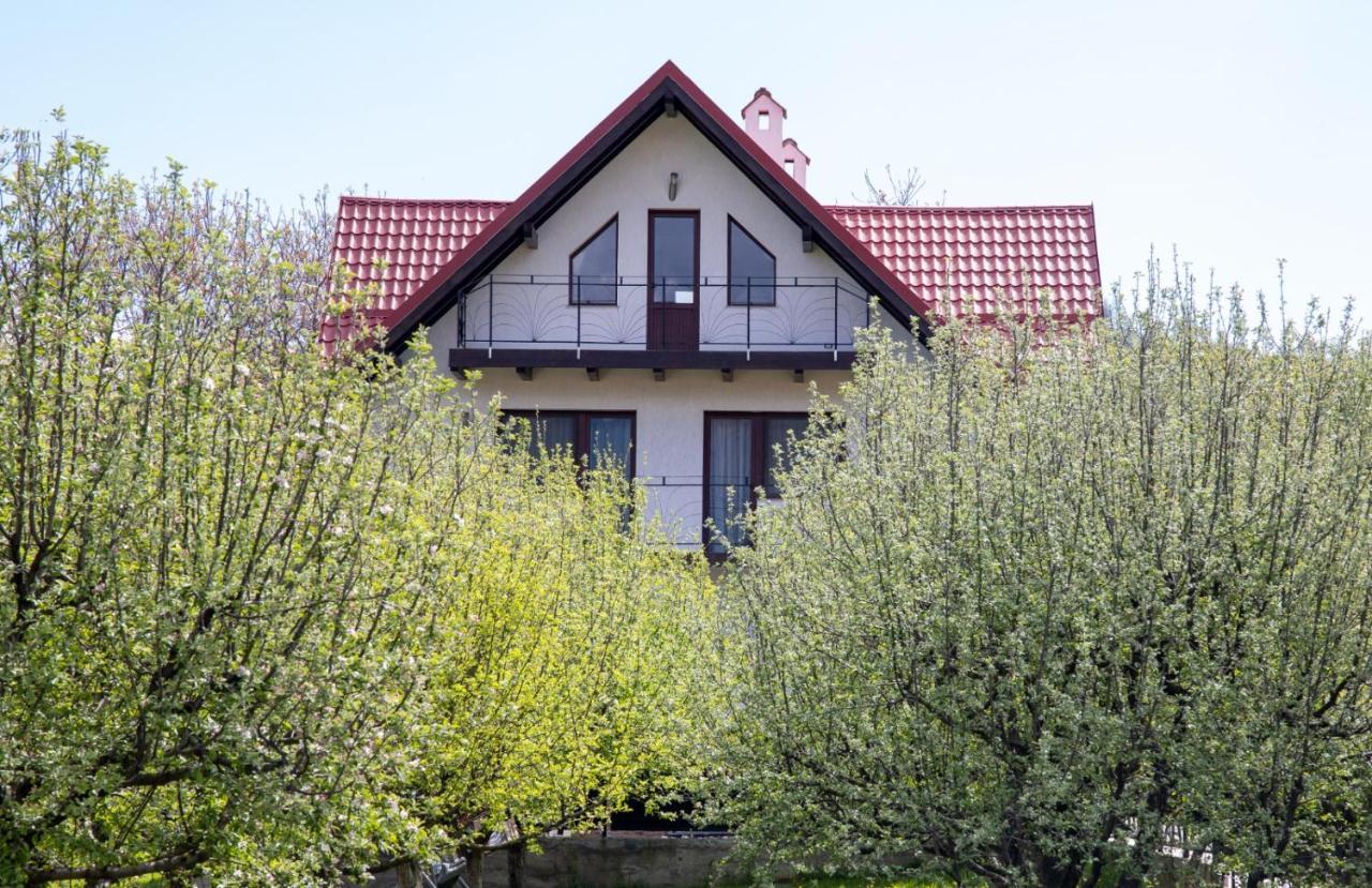 Amedeia Hotel Törcsvár Kültér fotó